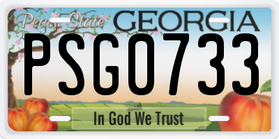 GA license plate PSG0733