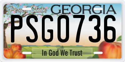 GA license plate PSG0736