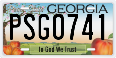 GA license plate PSG0741