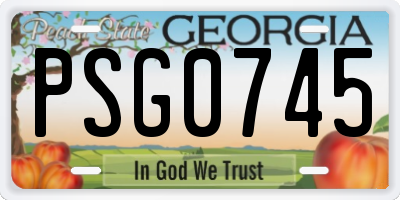 GA license plate PSG0745