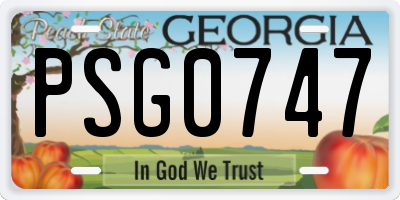 GA license plate PSG0747