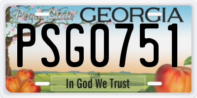 GA license plate PSG0751
