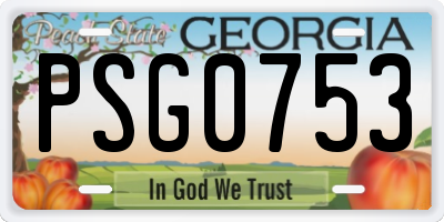 GA license plate PSG0753