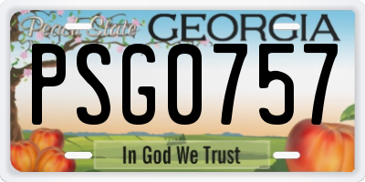 GA license plate PSG0757