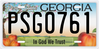 GA license plate PSG0761