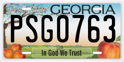 GA license plate PSG0763