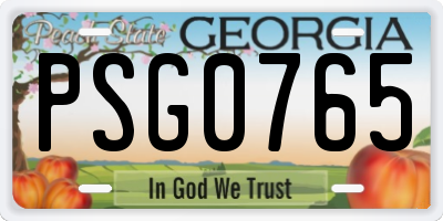 GA license plate PSG0765
