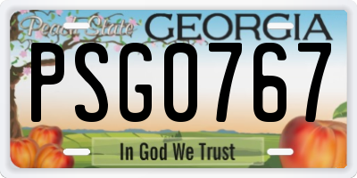GA license plate PSG0767