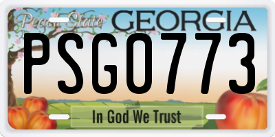 GA license plate PSG0773