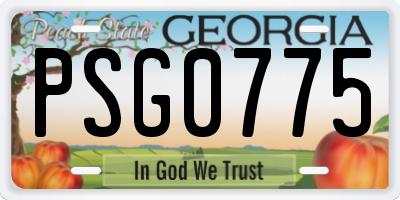 GA license plate PSG0775