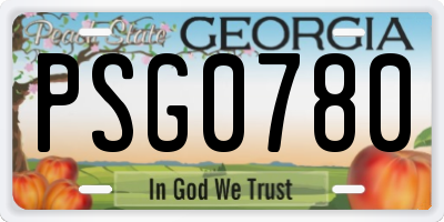 GA license plate PSG0780