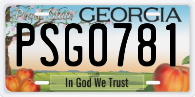GA license plate PSG0781