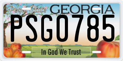 GA license plate PSG0785