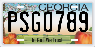 GA license plate PSG0789
