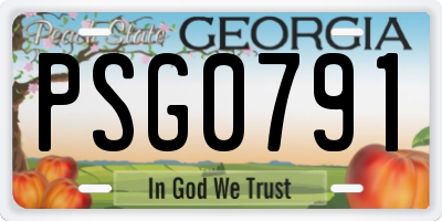 GA license plate PSG0791