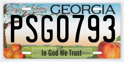 GA license plate PSG0793