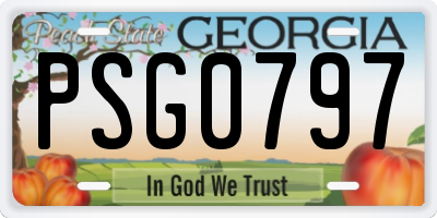 GA license plate PSG0797