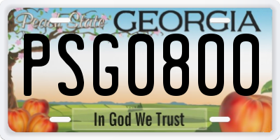 GA license plate PSG0800
