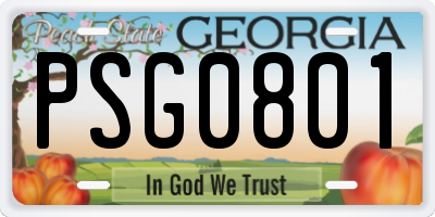 GA license plate PSG0801