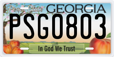 GA license plate PSG0803