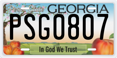GA license plate PSG0807
