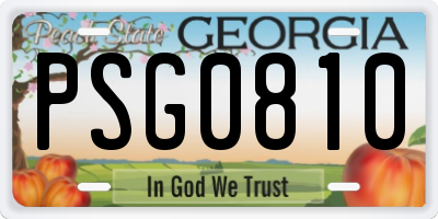 GA license plate PSG0810