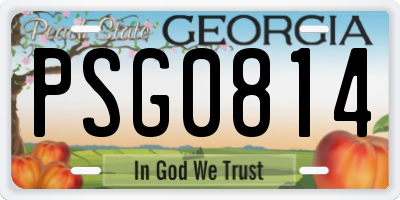 GA license plate PSG0814
