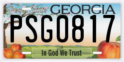 GA license plate PSG0817