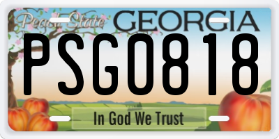 GA license plate PSG0818