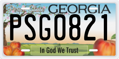 GA license plate PSG0821