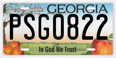 GA license plate PSG0822
