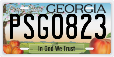 GA license plate PSG0823