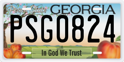 GA license plate PSG0824