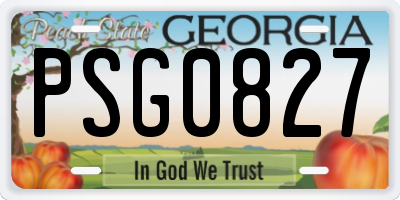 GA license plate PSG0827