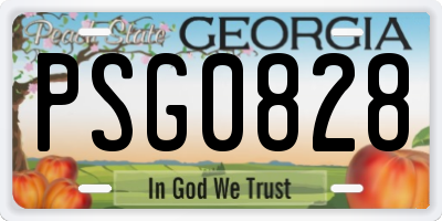 GA license plate PSG0828