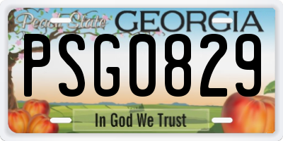 GA license plate PSG0829