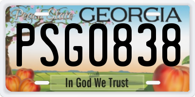 GA license plate PSG0838