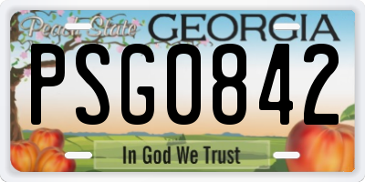GA license plate PSG0842