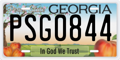 GA license plate PSG0844