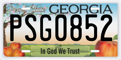 GA license plate PSG0852