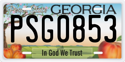 GA license plate PSG0853