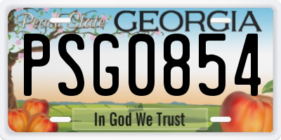 GA license plate PSG0854