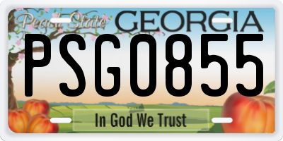GA license plate PSG0855