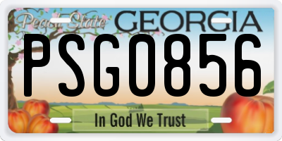 GA license plate PSG0856