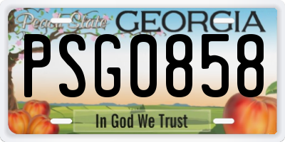 GA license plate PSG0858