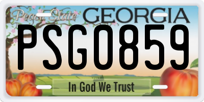 GA license plate PSG0859
