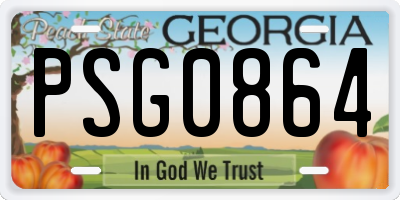 GA license plate PSG0864