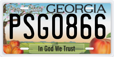 GA license plate PSG0866
