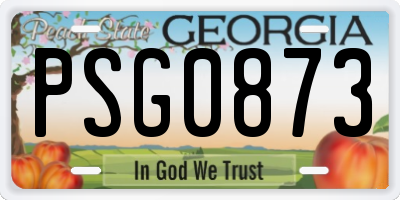 GA license plate PSG0873