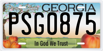 GA license plate PSG0875